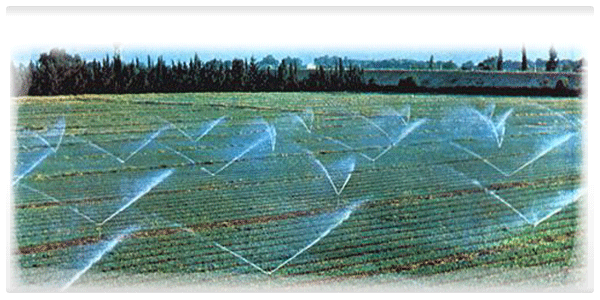 Very small portion of agricultural land was becoming watery